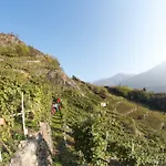 Winebnb