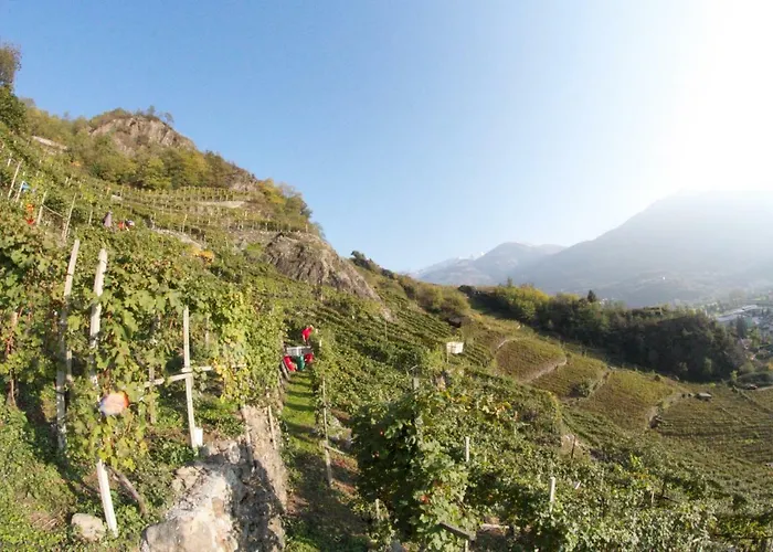 Winebnb
